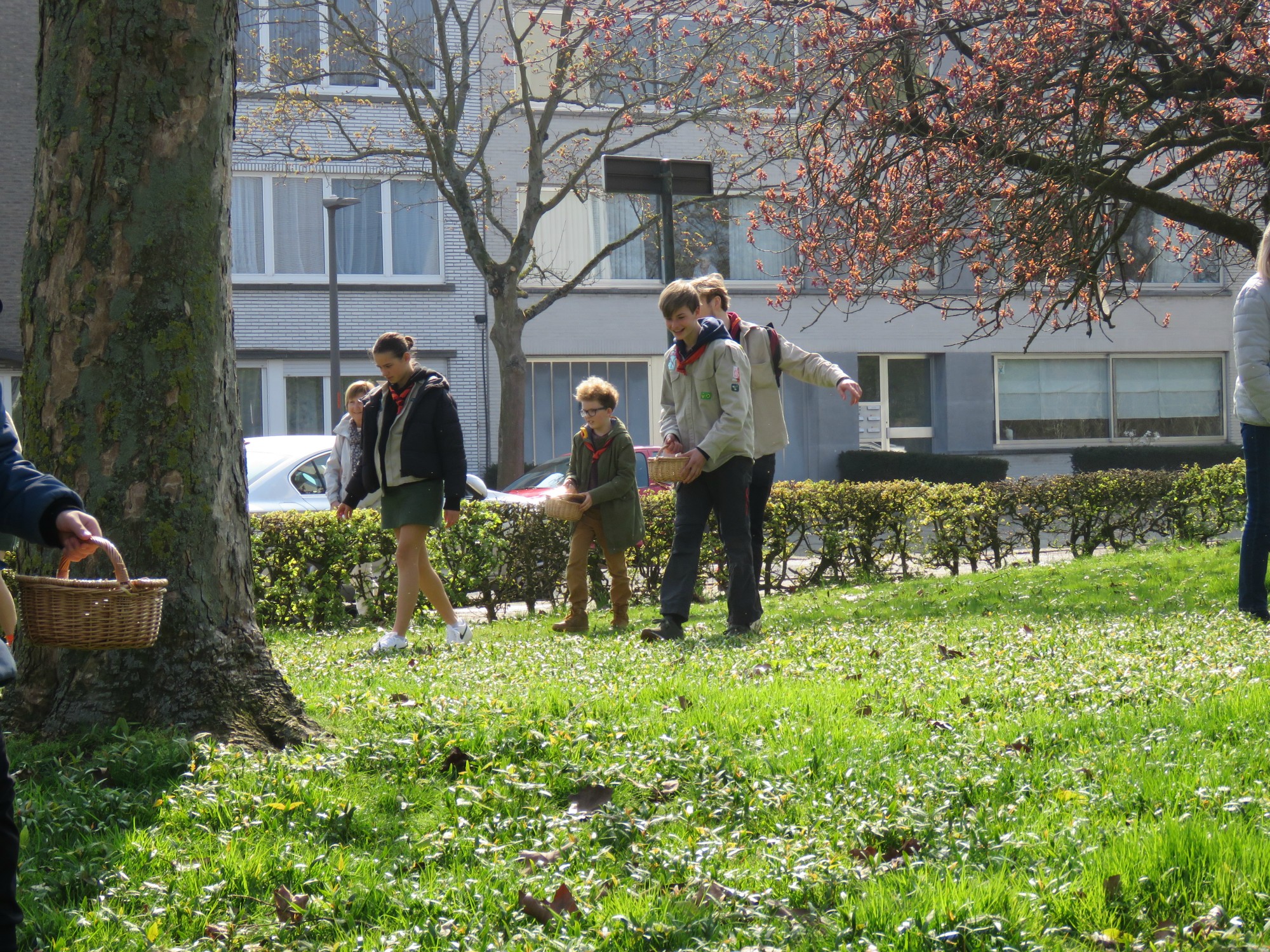 Pasen | Paaseieren rapen na de viering door de kinderen op het grasplein voor de kerk